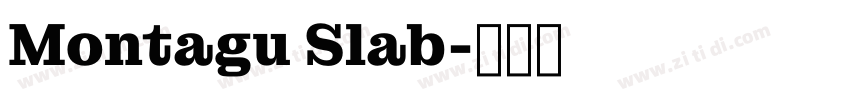 Montagu Slab字体转换
